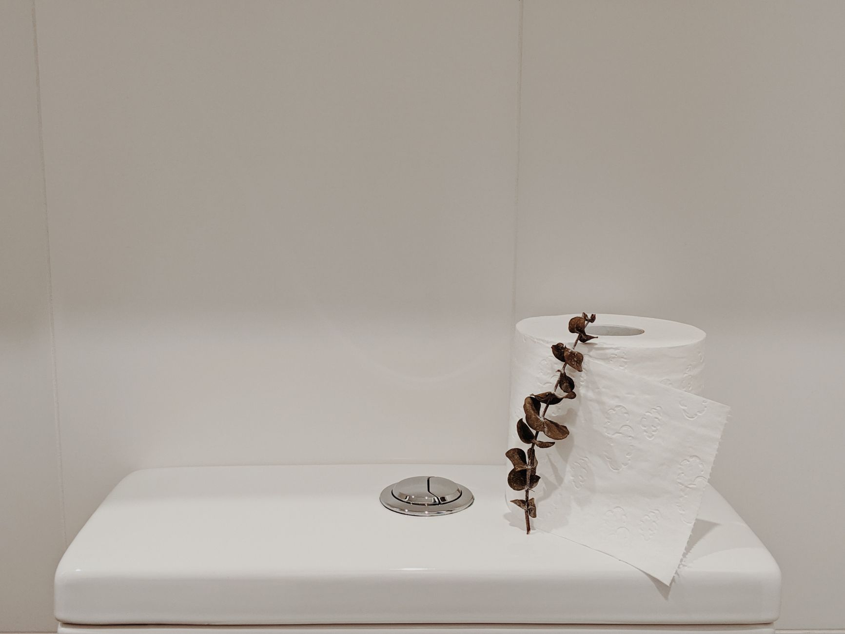 A toilet with the lid closed and a small green plant sitting on the cistern